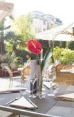 Туры в отель Novotel Brescia Due Туры в отель Novotel Brescia Due