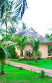 Туры в отель Mai Spa Resort Туры в отель Mai Spa Resort