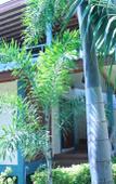 Туры в отель Kai Bae Beach Resort Туры в отель Kai Bae Beach Resort
