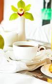 Туры в отель Holiday Inn Tbilisi Туры в отель Holiday Inn Tbilisi
