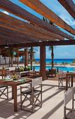 Туры в отель Secrets The Vine Cancun Туры в отель Secrets The Vine Cancun