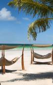 Туры в отель Ajman Hotel Туры в отель Ajman Hotel