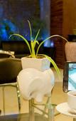 Туры в отель PJ Patong Resortel Туры в отель PJ Patong Resortel