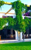 Туры в отель Ekaterini Hotel Туры в отель Ekaterini Hotel