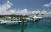 Туры в отель Cape Eleuthera Resort & Yacht Club Туры в отель Cape Eleuthera Resort & Yacht Club