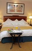 Туры в отель InterContinental Madrid Туры в отель InterContinental Madrid