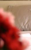 Туры в отель Sirma Sultan Hotel Туры в отель Sirma Sultan Hotel