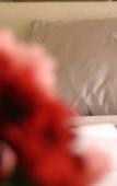 Туры в отель Sirma Sultan Hotel Туры в отель Sirma Sultan Hotel
