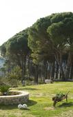 Туры в отель Villa Pentvasso Туры в отель Villa Pentvasso