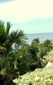 Туры в отель Hoang Kim Golden Resort Туры в отель Hoang Kim Golden Resort