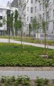 Туры в отель Star Inn Hotel Wien Schonbrunn Туры в отель Star Inn Hotel Wien Schonbrunn