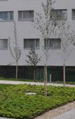 Туры в отель Star Inn Hotel Wien Schonbrunn Туры в отель Star Inn Hotel Wien Schonbrunn