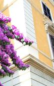 Туры в отель Roma Room Hotel Туры в отель Roma Room Hotel