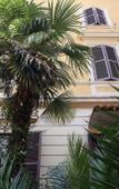 Туры в отель Roma Room Hotel Туры в отель Roma Room Hotel