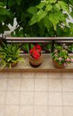 Туры в отель Dioni Apartments Туры в отель Dioni Apartments