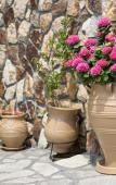 Туры в отель Dioni Apartments Туры в отель Dioni Apartments