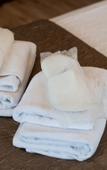Туры в отель Sultanahmet Cesme Hotel Туры в отель Sultanahmet Cesme Hotel