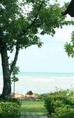 Туры в отель Coral Resort Туры в отель Coral Resort