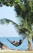 Туры в отель Coral Resort Туры в отель Coral Resort