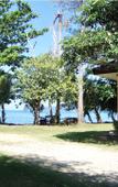 Туры в отель Coral Resort Туры в отель Coral Resort
