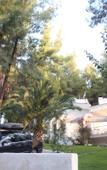 Туры в отель Sani Villa Angie Туры в отель Sani Villa Angie