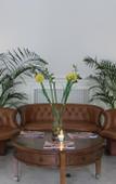 Туры в отель Sharden Villa Туры в отель Sharden Villa