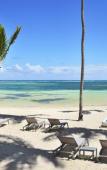 Туры в отель Catalonia Royal Bavaro Туры в отель Catalonia Royal Bavaro