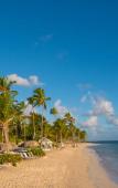 Туры в отель Catalonia Royal Bavaro Туры в отель Catalonia Royal Bavaro