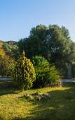 Туры в отель Villa Dei Sogni Туры в отель Villa Dei Sogni