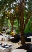 Туры в отель Catalonia Royal Tulum Туры в отель Catalonia Royal Tulum