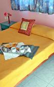 Туры в отель Georgina Inn Туры в отель Georgina Inn