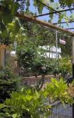 Туры в отель Corfu Anastasia Apartments Туры в отель Corfu Anastasia Apartments