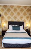 Туры в отель Nemi Hotel Туры в отель Nemi Hotel