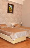 Туры в отель Nemi Hotel Туры в отель Nemi Hotel