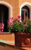 Туры в отель Su Lithu Hotel Туры в отель Su Lithu Hotel