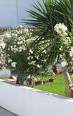 Туры в отель Joanna Apartments Туры в отель Joanna Apartments