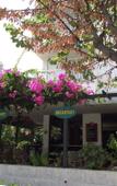 Туры в отель Galaxy Hotel Туры в отель Galaxy Hotel