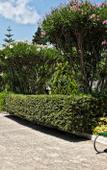 Туры в отель Hotel Villaggio Club Altalia Туры в отель Hotel Villaggio Club Altalia