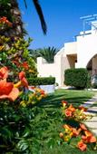 Туры в отель Papadakis Apartments Туры в отель Papadakis Apartments