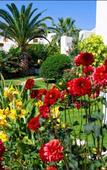 Туры в отель Papadakis Apartments Туры в отель Papadakis Apartments