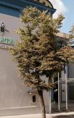Туры в отель Grata Туры в отель Grata
