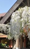 Туры в отель Centrum Hotel Туры в отель Centrum Hotel