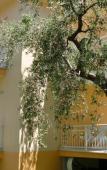 Туры в отель Villa Christa Туры в отель Villa Christa