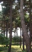 Туры в отель Профилакторий Эдельвейс Туры в отель Профилакторий Эдельвейс
