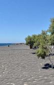 Туры в отель Black Rose Suites Туры в отель Black Rose Suites