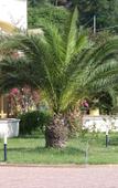 Туры в отель Grand Hotel Esperia Туры в отель Grand Hotel Esperia
