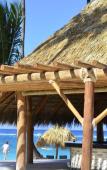 Туры в отель Royalton Punta Cana Resort & Casino Туры в отель Royalton Punta Cana Resort & Casino