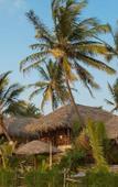 Туры в отель Cuba Agonda Туры в отель Cuba Agonda