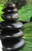 Туры в отель Riverside Bamboo Resort Туры в отель Riverside Bamboo Resort