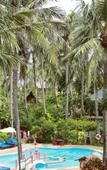 Туры в отель Riverside Bamboo Resort Туры в отель Riverside Bamboo Resort